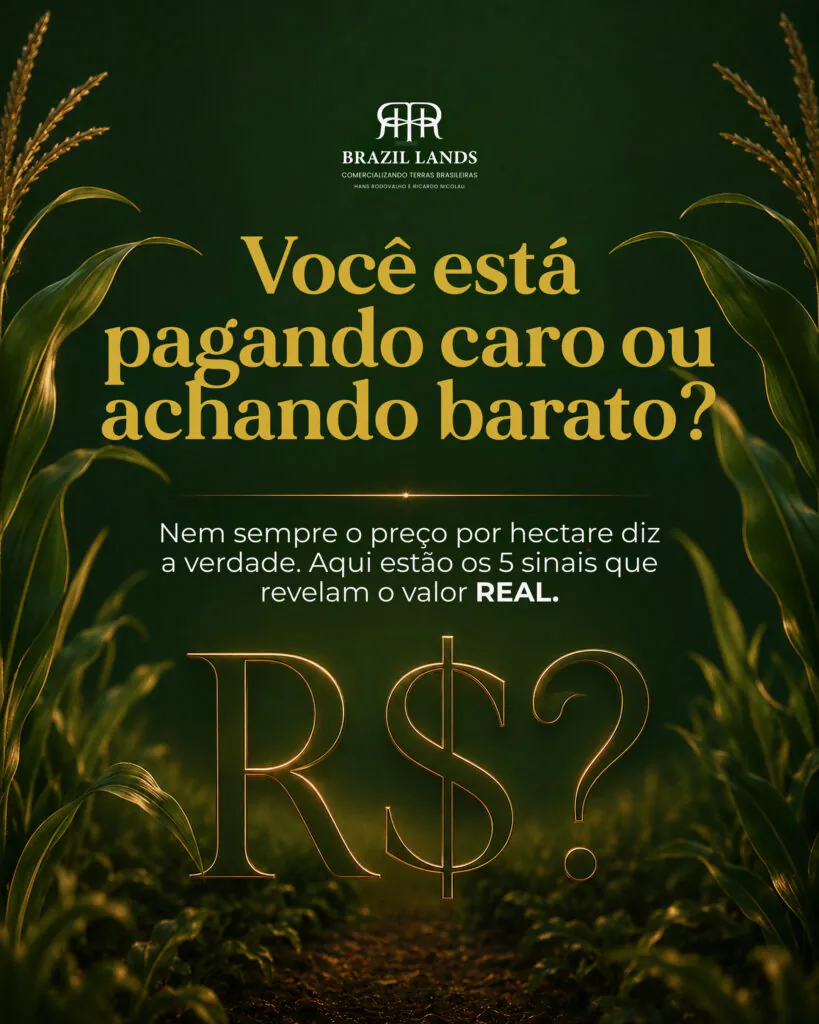 GRUPO NICOLAU — Social Media